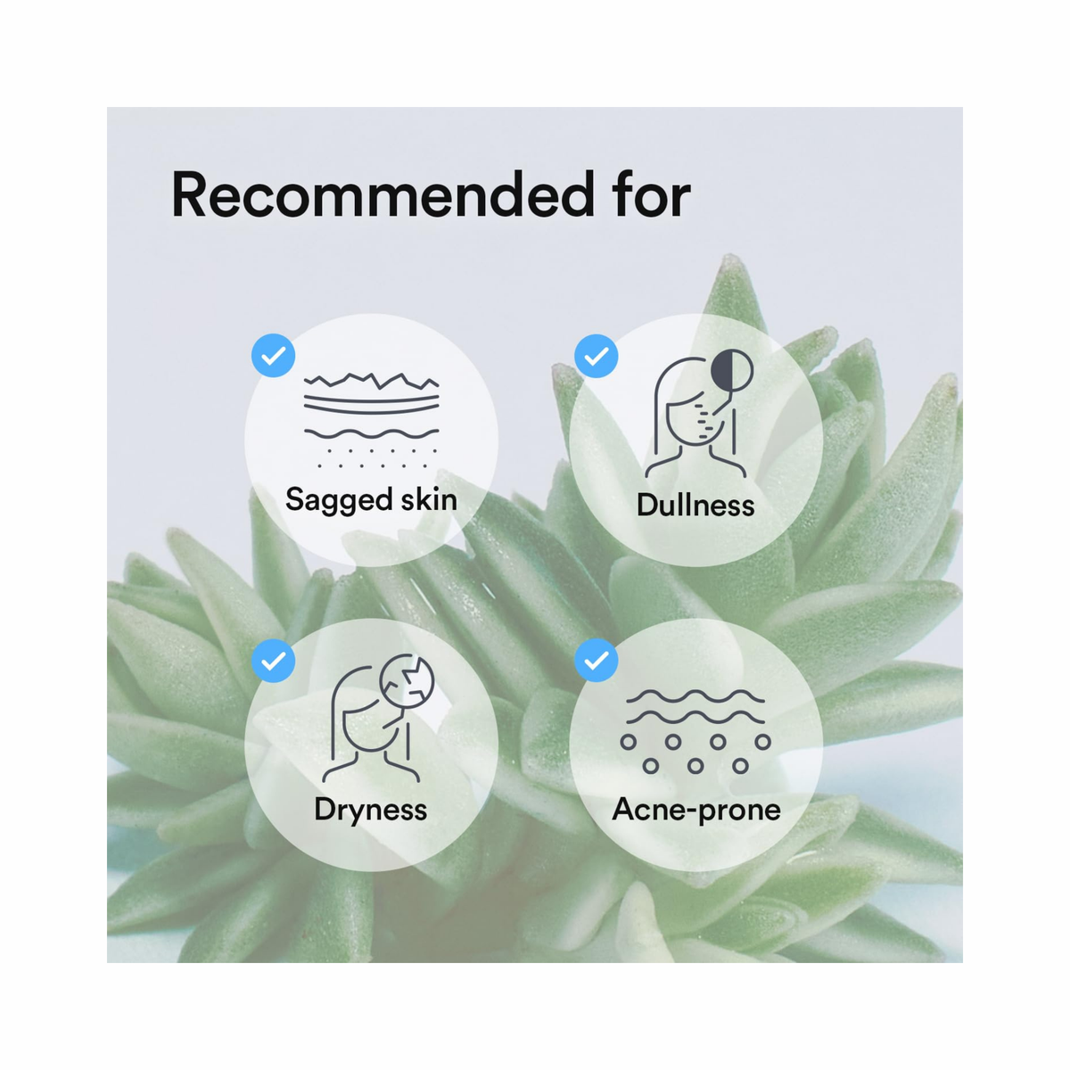 Abib – Collagen Gel Mask Sedum Jelly